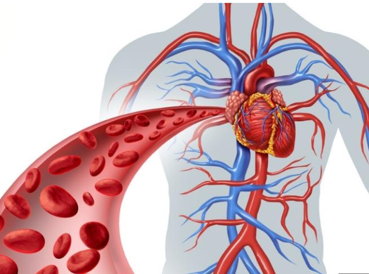 giảm cân tự nhiên